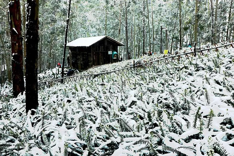 下大雪了，盘点全国初雪美景，太漂亮了！