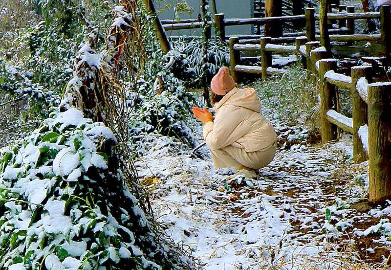 下大雪了，盘点全国初雪美景，太漂亮了！