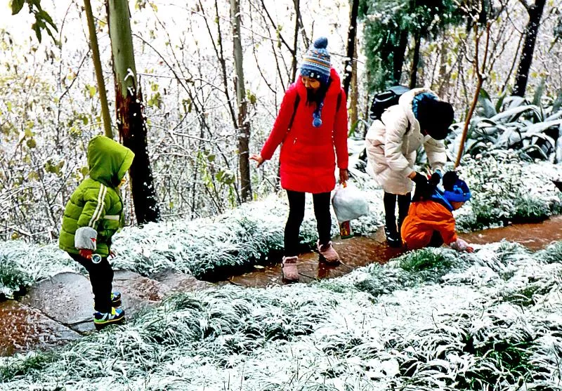 下大雪了，盘点全国初雪美景，太漂亮了！
