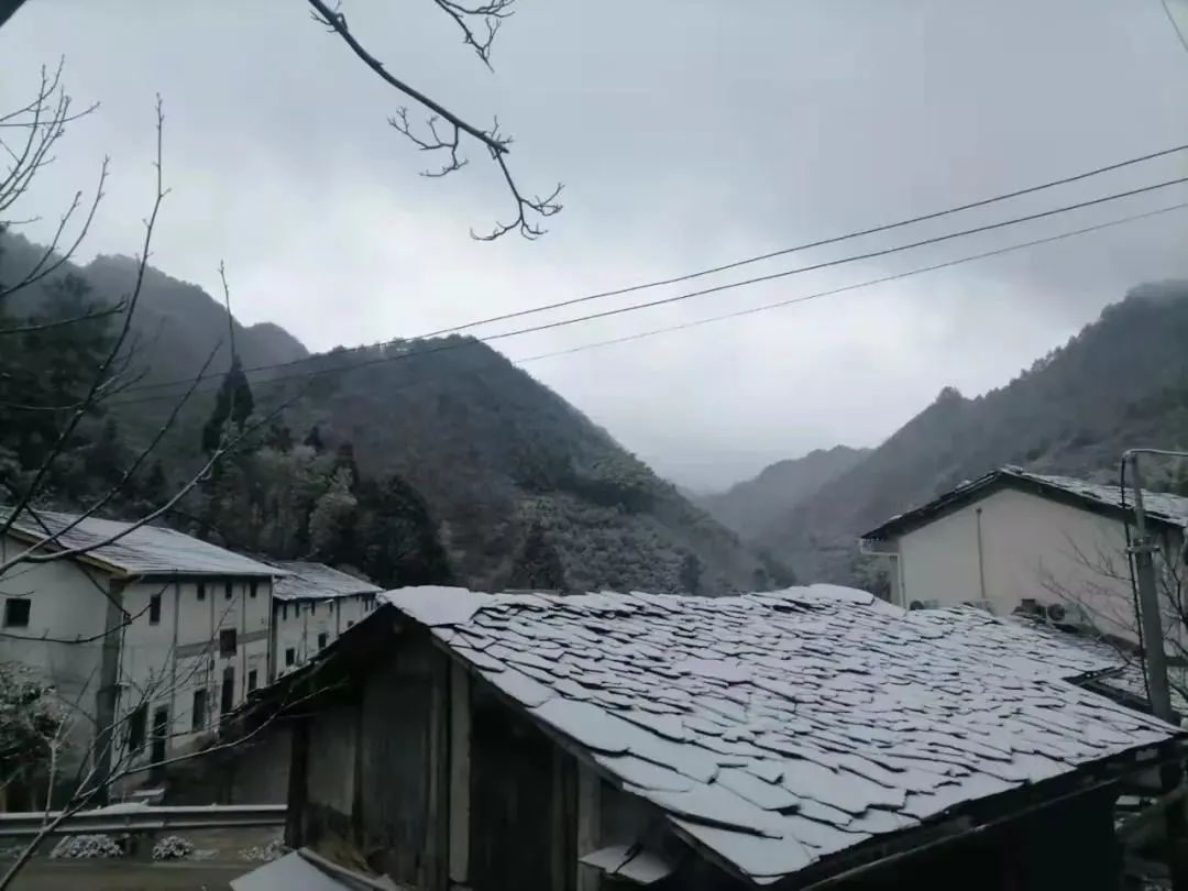 下大雪了，盘点全国初雪美景，太漂亮了！