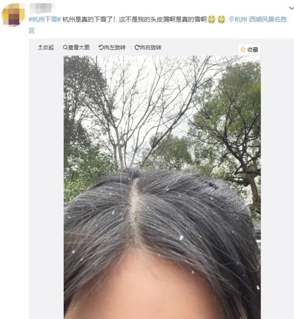 下大雪了，盘点全国初雪美景，太漂亮了！