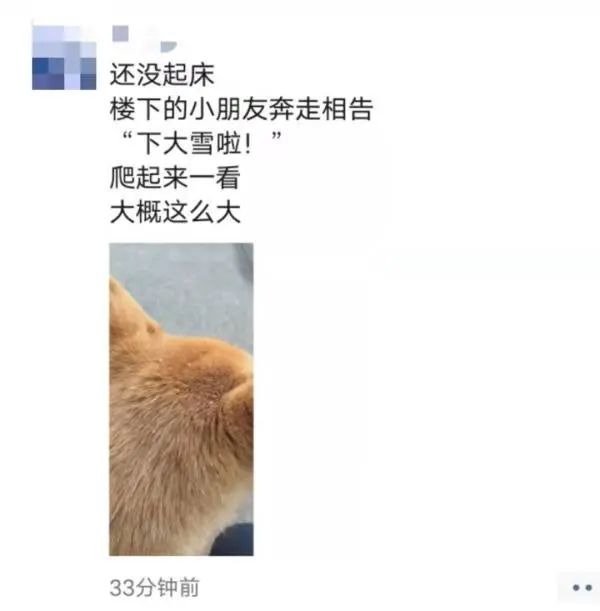 下大雪了，盘点全国初雪美景，太漂亮了！