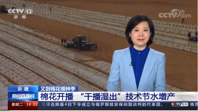 中国电信新疆公司助力兵团农三师“干播湿出”棉花种植技术霸屏央视80分钟