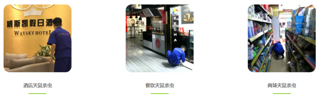 广州除四害,广州消杀公司,杀虫灭鼠灭蟑螂白蚁防治公司
