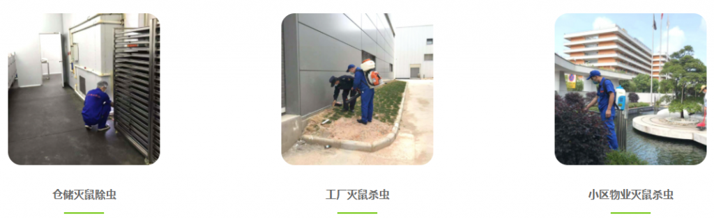 广州除四害,广州消杀公司,杀虫灭鼠灭蟑螂白蚁防治公司