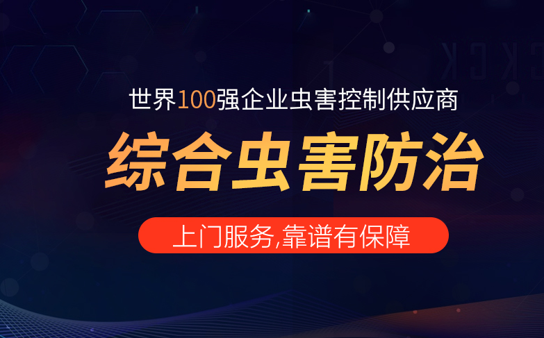 广州饭店灭蟑螂杀虫公司 广州除四害 厨房彻底灭蛇虫鼠蚁
