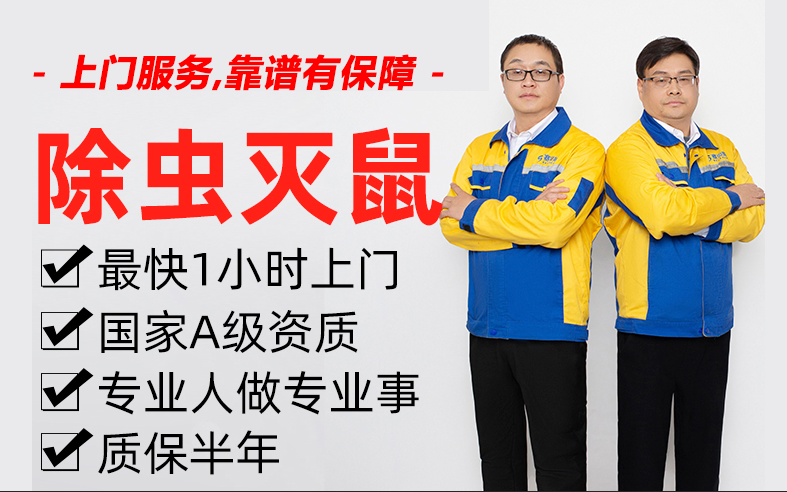 广州酒店商场仓库工厂饭店小区灭四害公司 彻底防治蛇虫鼠蚁！