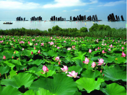 中国四大淡水湖是哪些（中国十大淡水湖排名）插图28