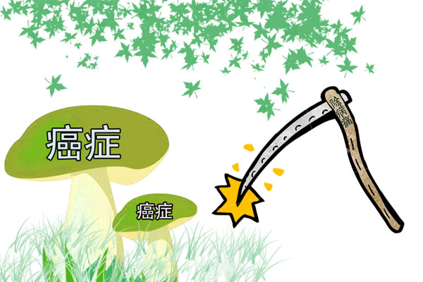 喝茶水对身体有什么好处和坏处？为啥有人说喝茶不养生，还可能致癌？-第4张图片-蝶芒网
