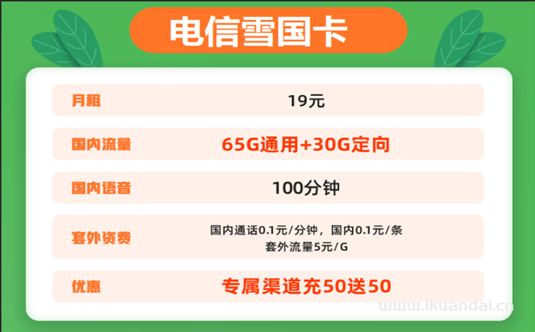 电信雪国卡19元包65G通用流量+30G定向流量+100分钟通话