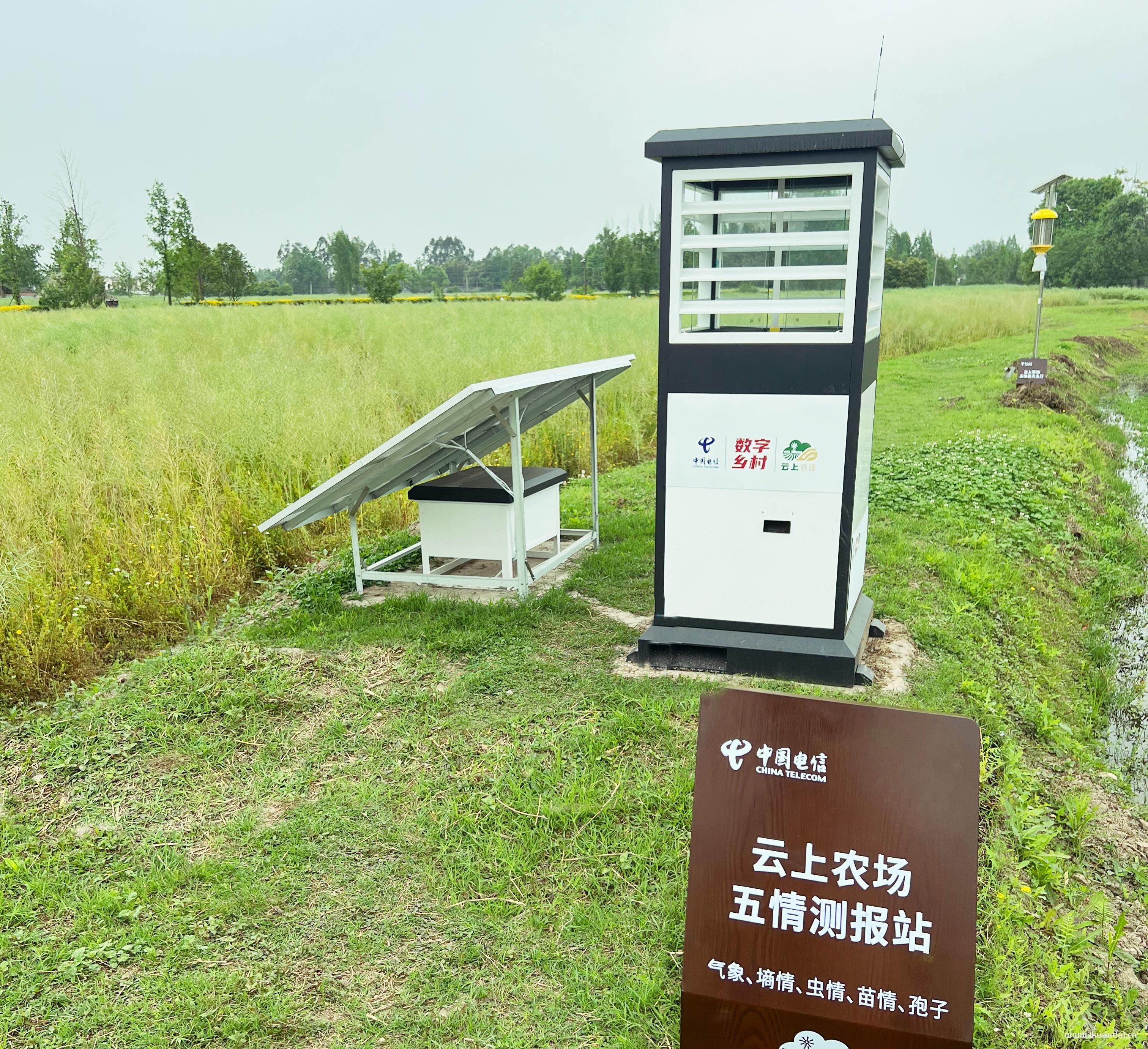 中国电信四川公司勇当数字四川建设主力军插图18