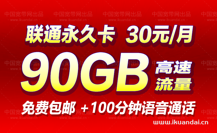 联通永久流量卡（30元90GB流量+100分钟通话申请办理）