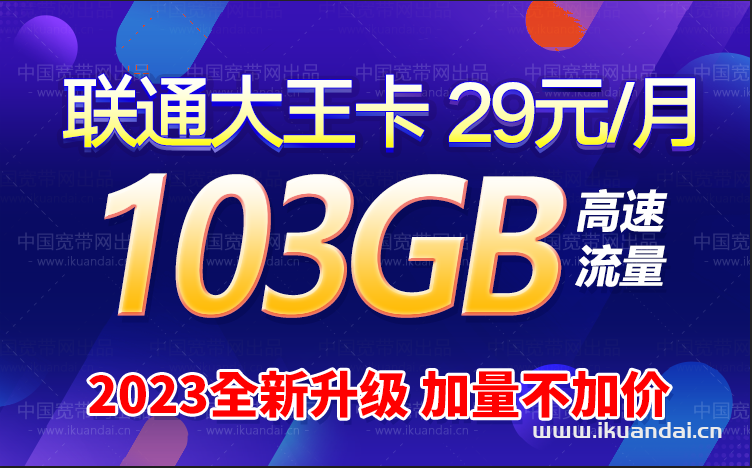 联通大王卡29元103G套餐介绍