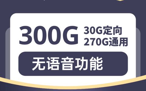 超大电信流量卡 39元包300G全国通用（申请办理入口）