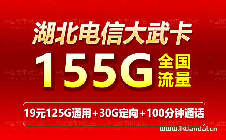 湖北电信大武卡19元155G+100分钟流量卡套餐介绍插图