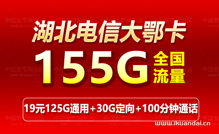 湖北电信大鄂卡19元155G+100分钟套餐介绍 流量卡申请办理入口插图