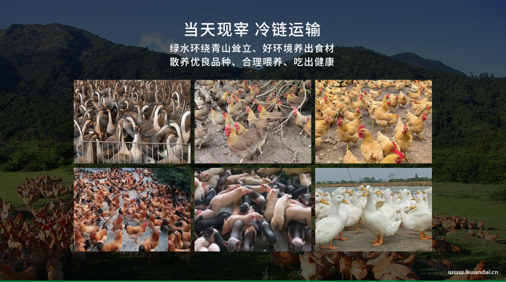 广州农夫山鸡农产品有限公司简介